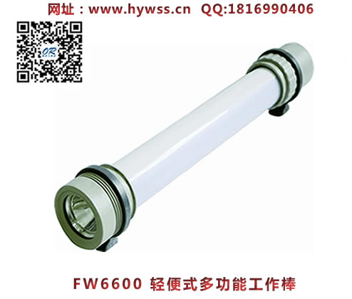 ������FW6600���ʽ�๦�ܹ�����-���庣�����ĵ�����